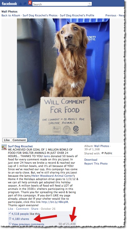 Iams-Pet-Food-Facebook-Post