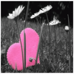2960672299_1_5_EHhy3SzO 2960672299 1 5 EHhy3SzO 300x300 Oh My God, cest la St Valentin !