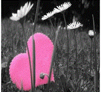 Oh My God, c'est la St Valentin !