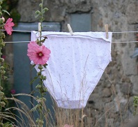 Le match improbable : la culotte de mamie VS le string dentelle