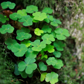 Les 3 signes astrologiques qui vont vivre un tournant ce vendredi 13