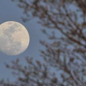 Super Lune du 5 novembre 2025 : ces 3 signes astrologiques vont voir leur vie transformée