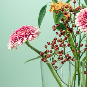 Horoscope du mercredi 14 mai 2025 : voici ce que les astres vous réservent aujourd’hui