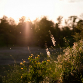 5 erreurs courantes en préparation de la saison des allergies (et comment les éviter)