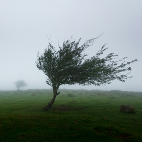 Vents violents : voici les 5 départements placés en vigilance jaune ce vendredi 21 novembre