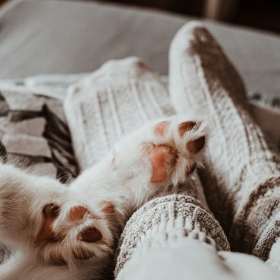 6 bonnes raisons de dormir avec ses chaussettes