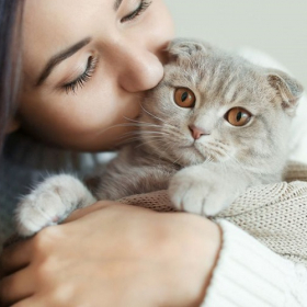 10 choses que seules les personnes qui ont un chat peuvent comprendre