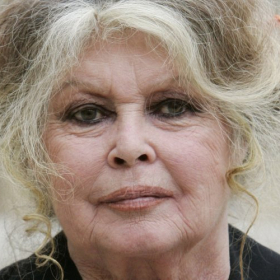L’héritage de Brigitte Bardot dérange bien plus qu’il ne fait rêver
