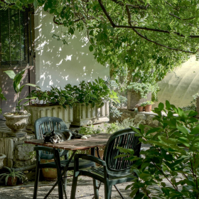 Canicule : comment les plantes d’extérieur rafraîchissent vraiment votre logement