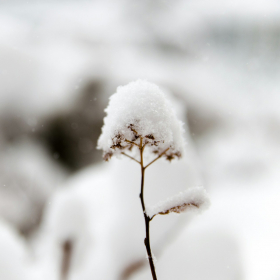 Neige-verglas ce jeudi 27 novembre : 17 départements en vigilance jaune