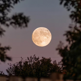 Nouvelle Lune du 20 novembre 2025 : ces 3 signes astrologiques vont franchir une étape vers le succès