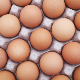 D'après cette étude, manger un oeuf par jour permet de diminuer les risques de diabète de type 2