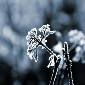 Grand froid sur la France : pourquoi ce lundi ressemble aux hivers "comme avant"