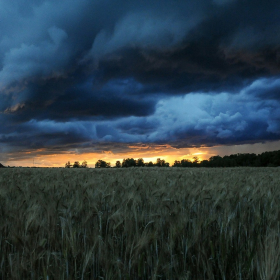 Orages : 29 départements placés en vigilance jaune le mercredi 3 septembre 2025