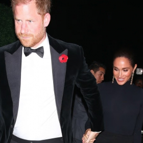 Harry au bord des larmes : ce combat contre Meta et YouTube qui le touche au plus profond