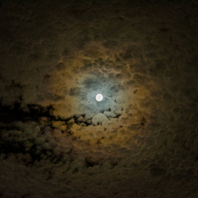 Pourquoi la Pleine Lune en Lion du 1er février pourrait bouleverser l’hiver financier de 2 signes