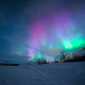 États-Unis : des aurores boréales spectaculaires illuminent le nord du pays