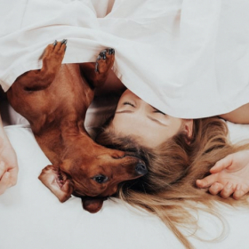 C'est prouvé : on dort beaucoup mieux avec son chat ou son chien