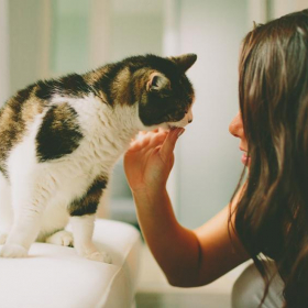 C'est prouvé ! Avoir un animal de compagnie procure un profond sentiment de bien-être et permet de lutter contre la dépression