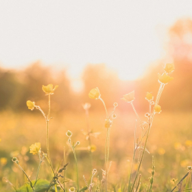 Horoscope du mercredi 29 octobre 2025 : voici ce que les astres vous réservent aujourd’hui