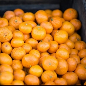 8 raisons pour lesquelles vous ne devriez jamais jeter vos pelures d'oranges