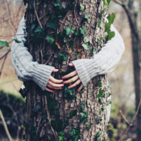 5 raisons pour lesquelles faire un câlin à un arbre est bon pour la santé