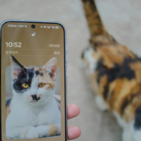 Vol d’images et de mots de passe : attention à SparkKitty, nouveau cheval de Troie espion