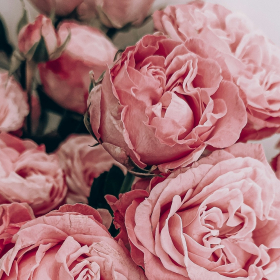 Horoscope mardi 4 novembre 2025 pour chaque signe astrologique : voici ce que les astres vous réservent aujourd’hui