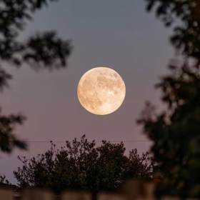 Nouvelle Lune du 20 novembre : ces 3 signes entrent dans une phase de réussite inattendue