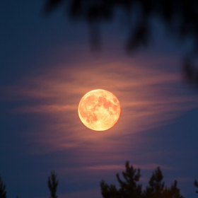 Pleine lune du 5 novembre 2025 : ces 3 signes vont ressentir un véritable déclic intérieur