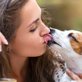 Une personne sur deux embrasse plus souvent son chien que son partenaire