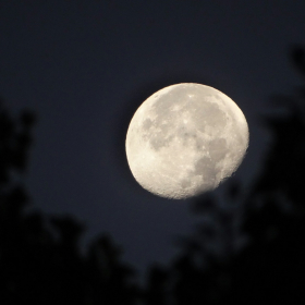 Pleine Lune du 5 décembre 2025 : ces 2 signes vont avoir les nerfs à vif cette semaine