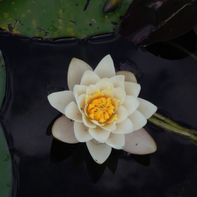 Horoscope du jeudi 30 octobre 2025 : voici ce que les astres vous réservent aujourd’hui