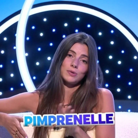 Pimprenelle déjà démasquée : son secret révélé grâce à ces photos