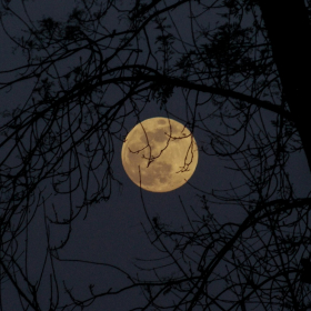 Un tournant discret mais décisif avec la Pleine Lune en Lion : pourquoi février 2026 ne sera pas un mois comme les autres