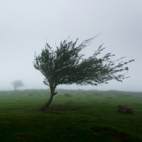 Vents violents : 21 départements placés en vigilance jaune ce vendredi 14 novembre