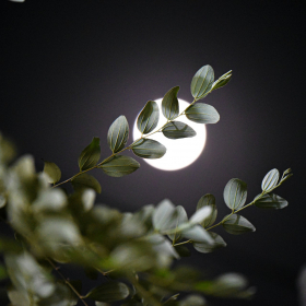 Nouvelle lune du 20 novembre : l’incroyable tournant qui attend chaque signe du zodiaque