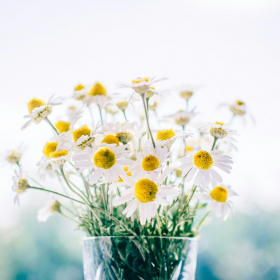 Horoscope jeudi 13 novembre 2025 pour chaque signe astrologique : voici ce que les astres vous réservent aujourd’hui