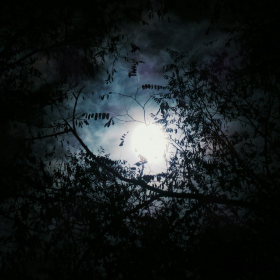 Lune noire : ce qu'il faut savoir sur le phénomène astronomique attendu dans la nuit de samedi 23 à dimanche 24 août