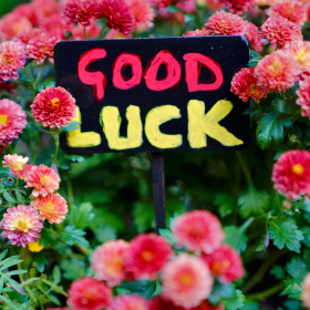 Numérologie : ce que signifie vraiment le chiffre 13 pour votre destin