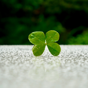 Pourquoi le vendredi 13 février 2026 pourrait tout changer dans votre vie