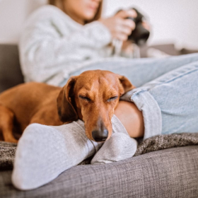 C'est prouvé : avoir un chien permet d'être en meilleure santé et de vivre plus longtemps