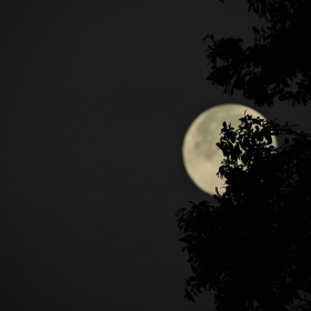 Pourquoi la Super Lune 2025 est bien plus rare qu’on ne le pense