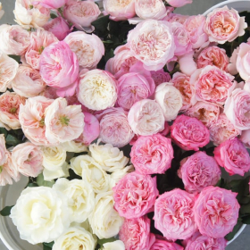 Recevoir un bouquet de fleurs pourrait booster la libido de près de 2 jeunes femmes sur 3
