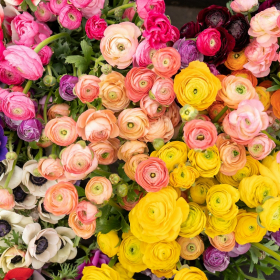 Horoscope mardi 7 octobre 2025 : voici ce que les astres vous réservent aujourd’hui
