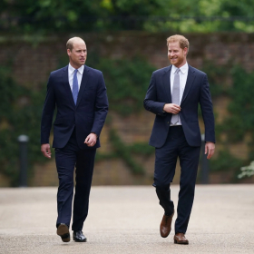 Vers une réconciliation entre le prince Harry et le prince William ? Ce combat commun qui pourrait les rapprocher
