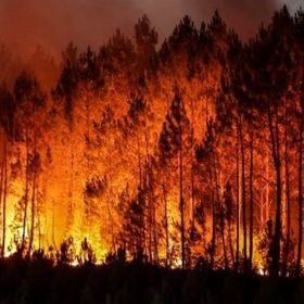 « Ils deviendront bientôt inarrêtables » : les experts expliquent pourquoi les feux de forêt seront de plus en plus meurtriers et incontrôlables