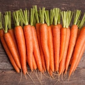 10 bienfaits des carottes pour la santé