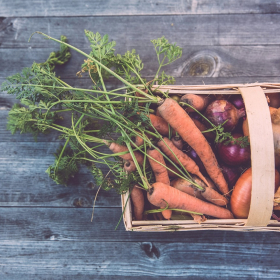 Créer un potager urbain au printemps : 7 astuces pour récolter vos propres légumes en ville