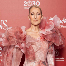 "Je me lance…" : la décision de Céline Dion qui change son image aux yeux du public